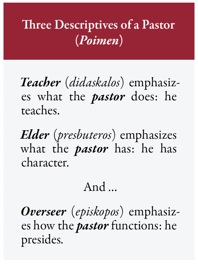 descriptors of a pastor